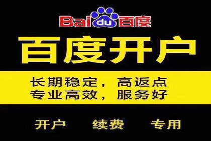 百度SEO推广公司服务效果评估：多案例对比分析